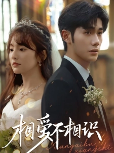 短剧相爱不相识海报