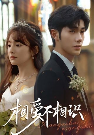 短剧相爱不相识海报