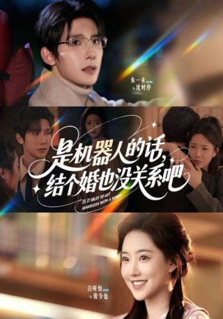 短剧是机器人的话，结个婚也没关系吧海报