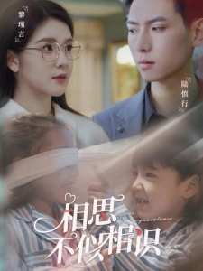 短剧相思不似相识海报
