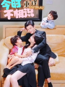 短剧今时重逢不相识海报