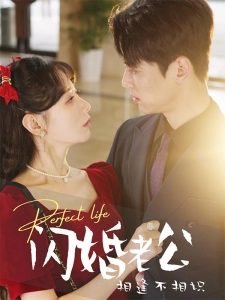 短剧闪婚老公相逢不相识海报