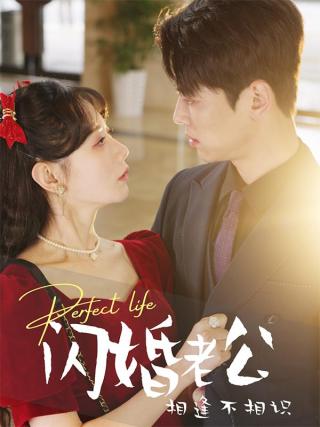 短剧闪婚老公相逢不相识海报