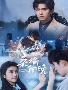 短剧桑榆向晚海报