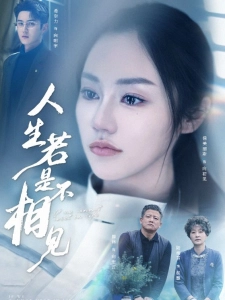 短剧人生若是不相见海报