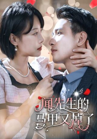 短剧闻先生的马甲又掉了海报