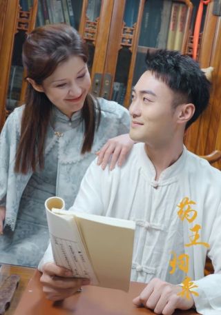 短剧药王归来海报