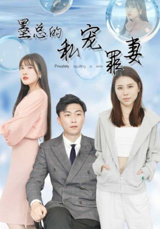 短剧墨总的私宠罪妻海报