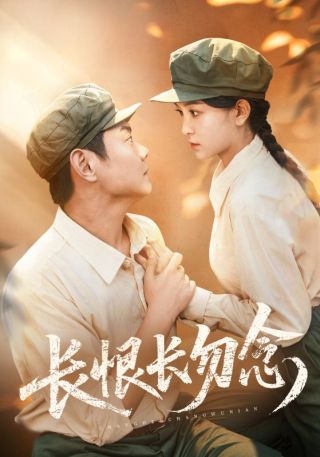 短剧长恨长勿念海报