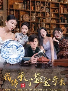 短剧我传承了鉴宝奇术海报