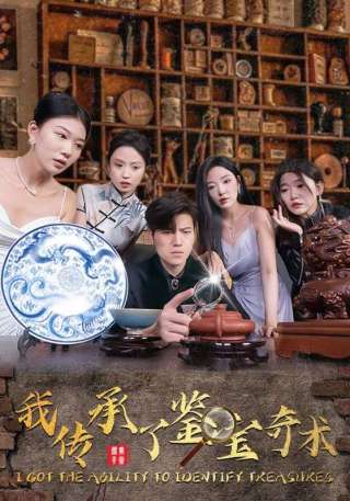 短剧我传承了鉴宝奇术海报