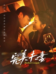 短剧完美夫妻海报