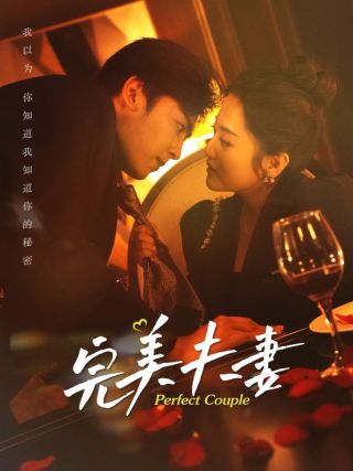 短剧完美夫妻海报