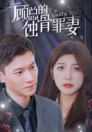 短剧顾总的蚀骨罪妻海报