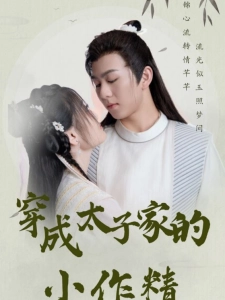 短剧穿成太子家的小作精海报