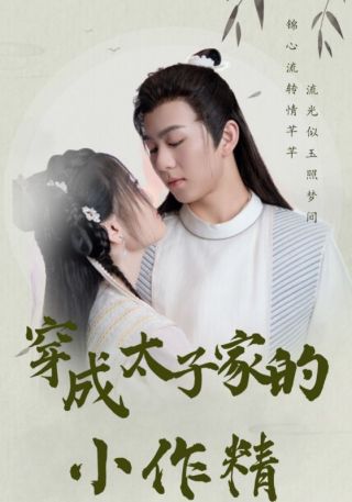 短剧穿成太子家的小作精海报