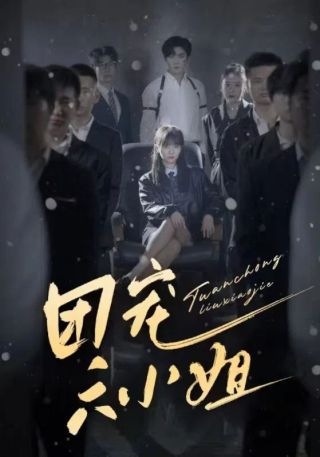 短剧团宠六小姐海报