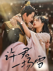 短剧许君一场雪海报