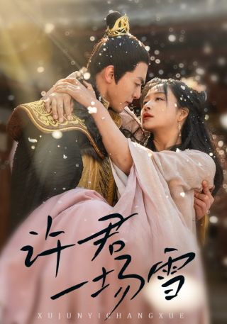 短剧许君一场雪海报