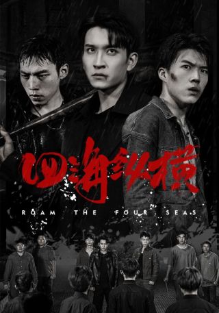 短剧四海纵横海报