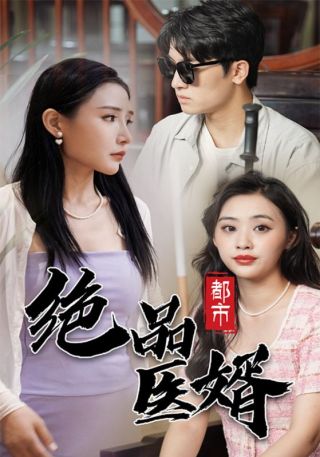 短剧都市绝品医婿海报