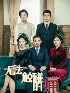 短剧无法触碰的痛海报