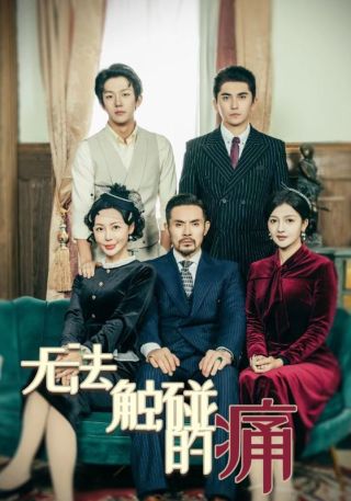 短剧无法触碰的痛海报