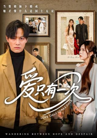 短剧爱只有一次海报