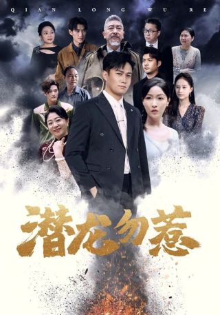 短剧潜龙勿惹海报