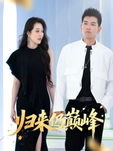 短剧归来仍巅峰海报