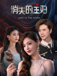 短剧消失的主妇海报