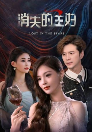 短剧消失的主妇海报