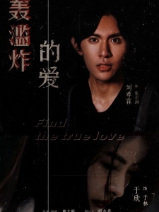 短剧狂轰滥炸的爱海报