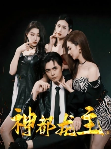 短剧神都龙主海报