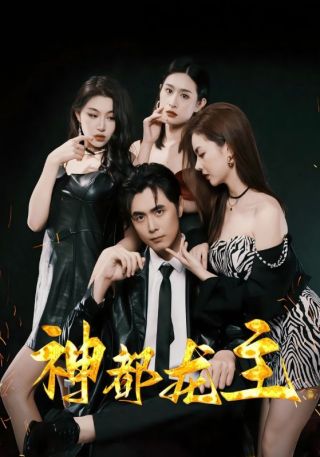 短剧神都龙主海报