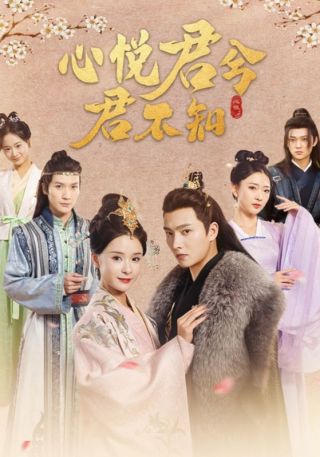 短剧心悦君兮君不知海报