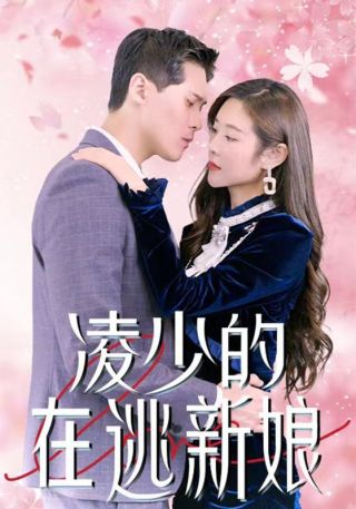 短剧凌少的在逃新娘海报