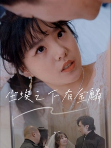 短剧尘埃之下有金麟海报