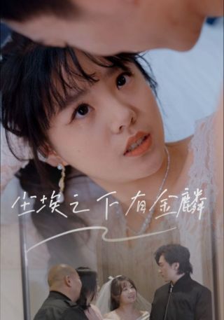 短剧尘埃之下有金麟海报