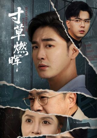 短剧寸草燃晖海报