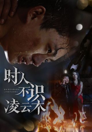 短剧时人不识凌云木海报