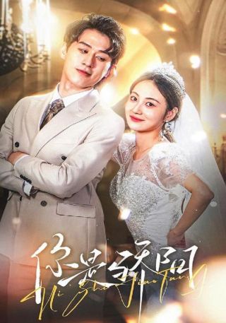 短剧你是骄阳海报