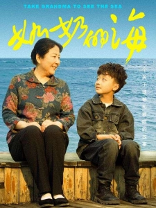 短剧奶奶的海海报