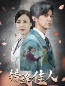 短剧错逢佳人海报