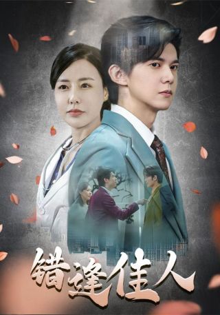 短剧错逢佳人海报