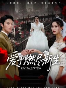 短剧爱于燃尽新生海报