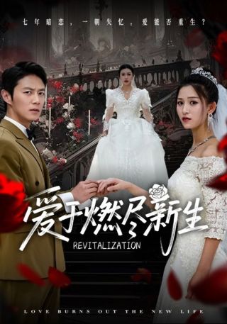 短剧爱于燃尽新生海报