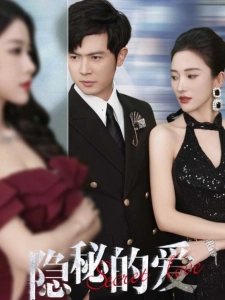 短剧隐秘的爱海报