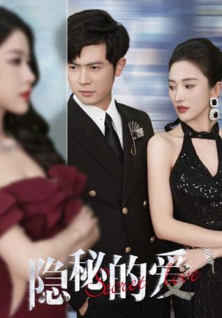 短剧隐秘的爱海报