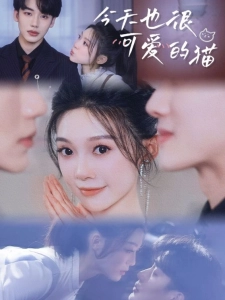 短剧今天也很可爱的猫海报